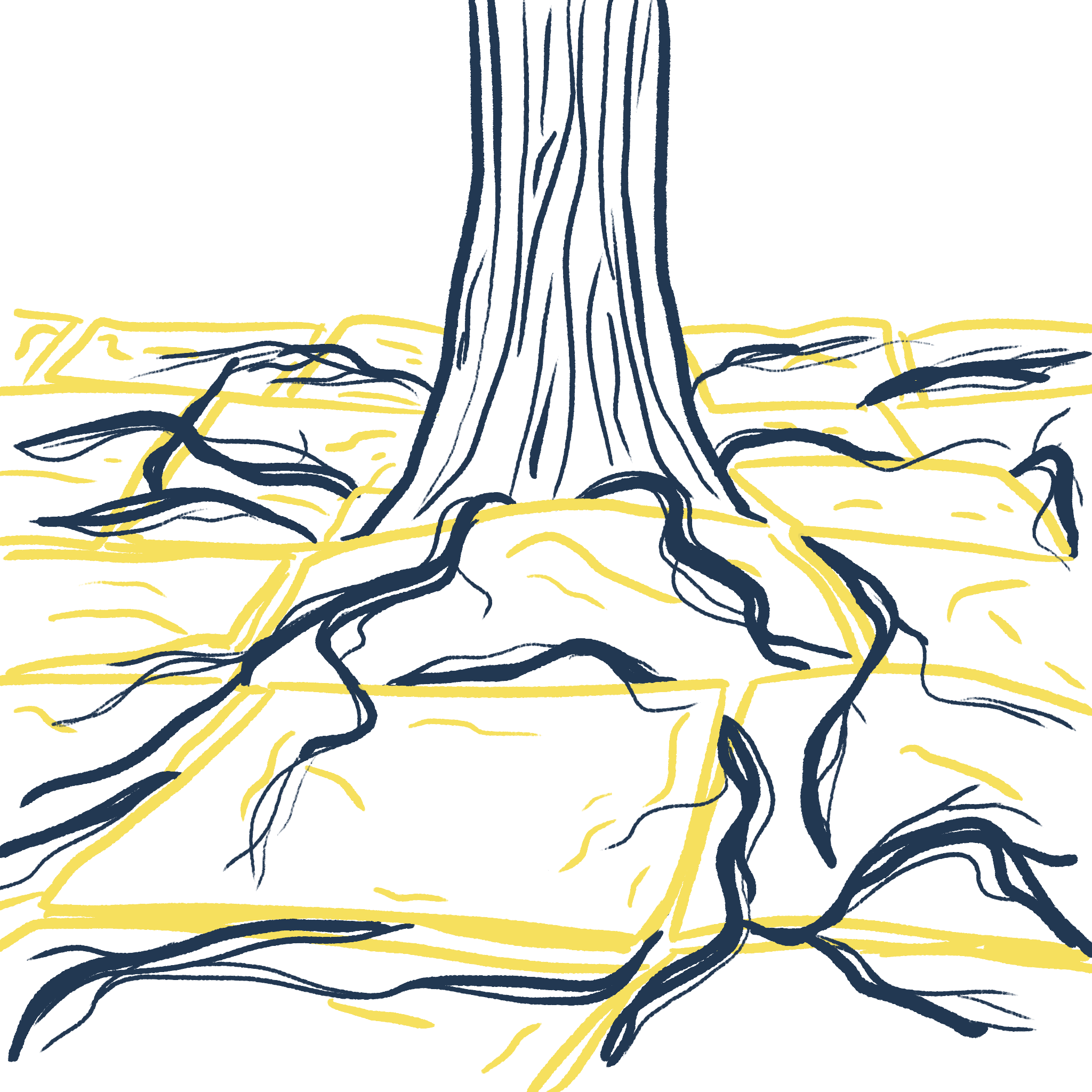 Illustration of a tree with paving laid around it. The tree's roots are growing up through the paving.